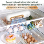 Désodorisant Frigo Rechargeable — Éliminateur d'Odeurs pour Réfrigérateur, Congélateur & Placards