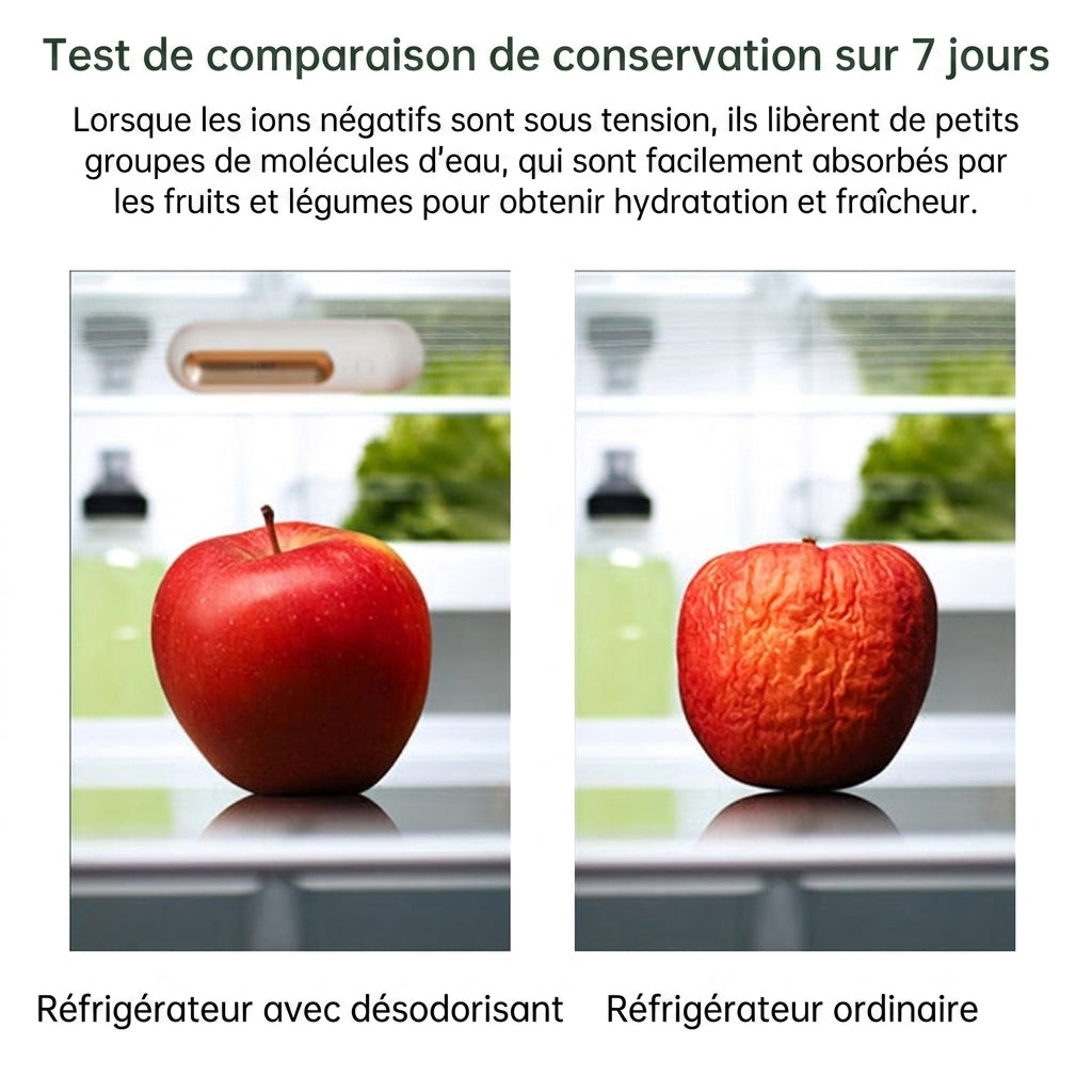 Désodorisant Frigo Rechargeable — Éliminateur d'Odeurs pour Réfrigérateur, Congélateur & Placards